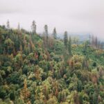 environmental-nonprofit-19