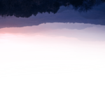 environmental-nonprofit-24